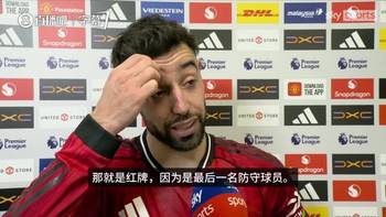 无争议！B费：VAR只是检查是否红牌，主裁马上告诉我点球是确定的