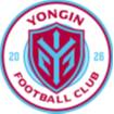 龙仁FC